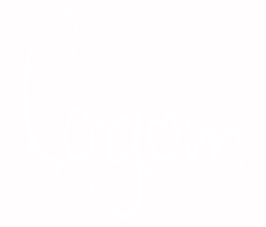 Lagom Photographie München Logo